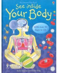 Your Body