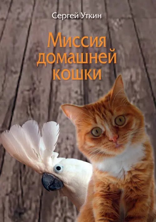 Миссия домашней кошки