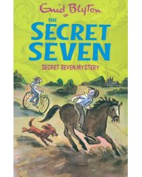 Secret Seven Mystery