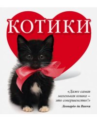 Котики