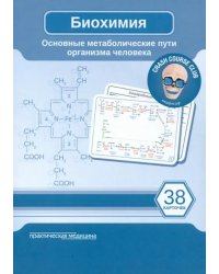 Биохимия. Карточки. Основные метаболические пути организма человека. 38 карточек