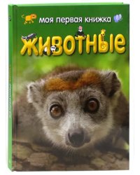 Моя первая книжка. Животные