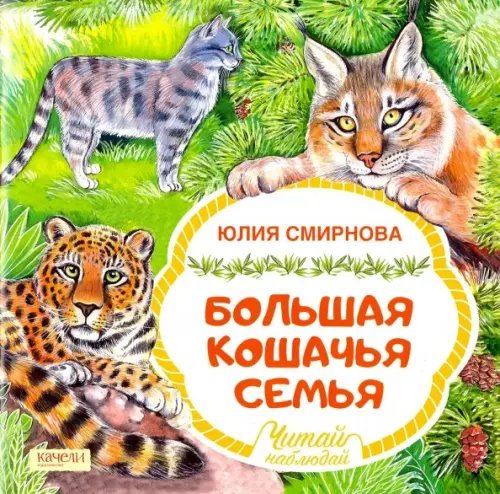 Большая кошачья семья