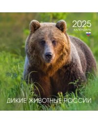 Календарь на 2025 год Дикие животные России