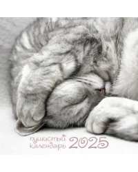 Календарь на 2025 год Пушистый календарь