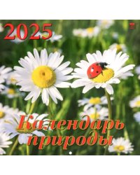 Календарь настенный на 2025 год Календарь природы