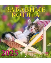 Календарь настенный на 2025 год Забавные котята