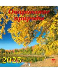 Календарь настенный на 2025 год Очарование природы