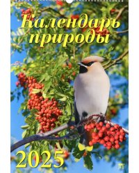 Календарь настенный на 2025 год Календарь природы