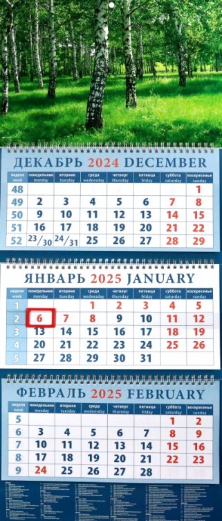 Календарь квартальный на 2025 год Березы