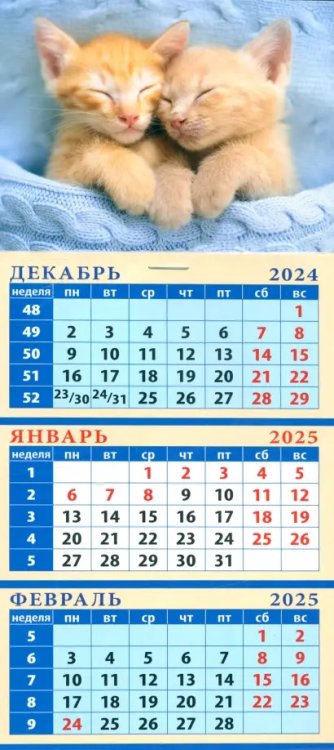 Календарь квартальный на магните на 2025 год Забавные котята