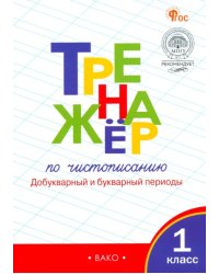 Тренажёр по чистописанию. 1 класс. Добукварный и букварный периоды