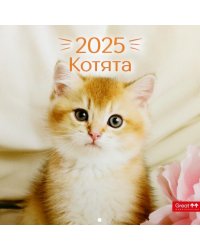 Календарь перекидной на 2025 год Котята