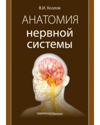 Анатомия нервной системы. Учебное пособие