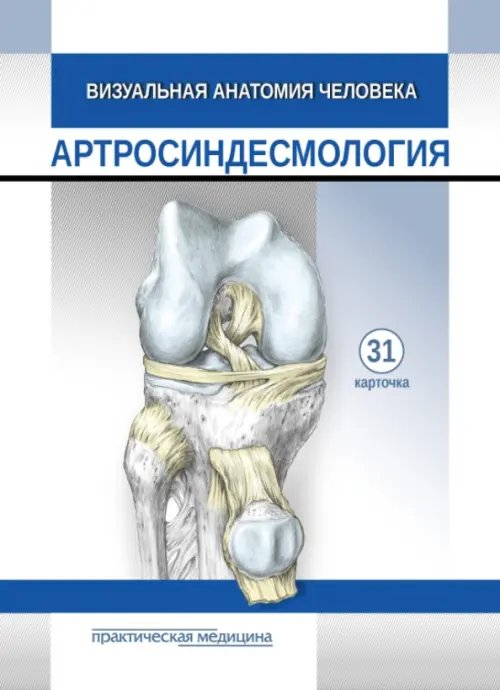 Визуальная анатомия человека. Артросиндесмология. Карточки, 31 штука