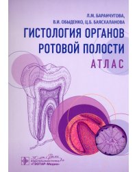 Гистология органов ротовой полости. Атлас