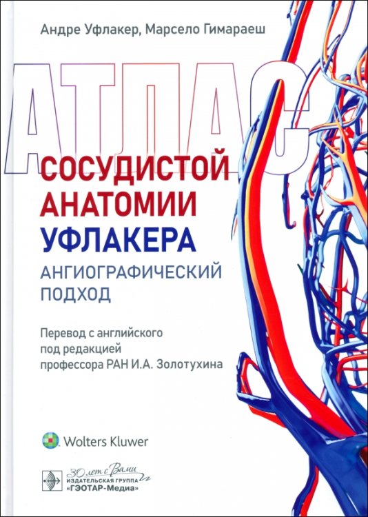 Атлас сосудистой анатомии Уфлакера. Ангиографический подход