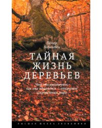 Тайная жизнь деревьев. Что они чувствуют, как они общаются — открытие сокровенного мира