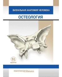 Визуальная анатомия человека. Остеология. Карточки, 51 штука