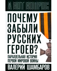 Почему забыли русских героев? Параллельная история Первой мировой войны