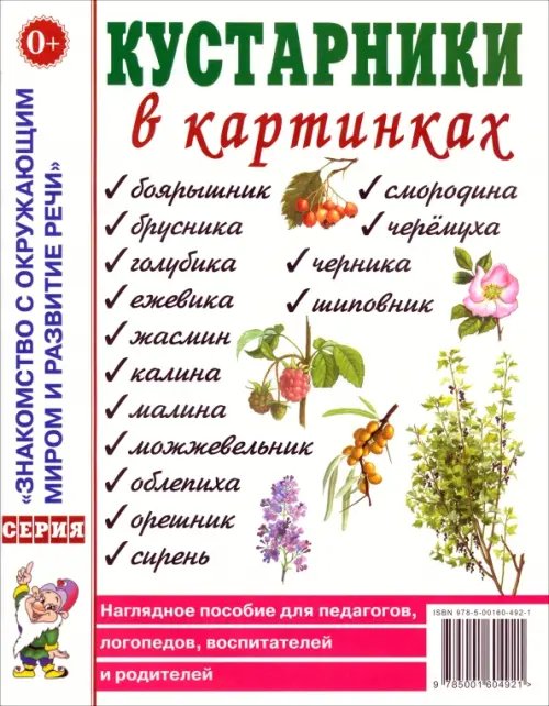 Кустарники в картинках. Наглядное пособие для педагогов, логопедов, воспитателей и родителей