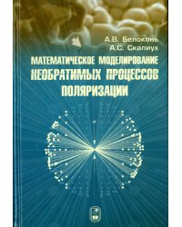 Математическое моделирование необратимых процессов поляризации