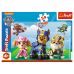 TREFL PAW PATROL Минипазл Щенячий патруль, 54 шт.